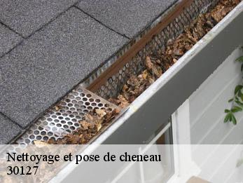Nettoyage et pose de cheneau  30127