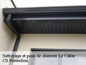 Nettoyage et pose de cheneau  30740