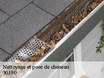 Nettoyage et pose de cheneau  30190