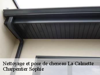 Nettoyage et pose de cheneau  30190