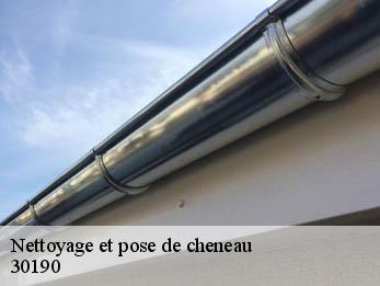 Nettoyage et pose de cheneau