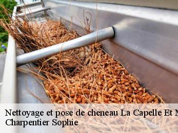 Nettoyage et pose de cheneau