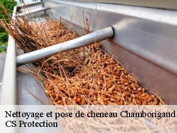 Nettoyage et pose de cheneau