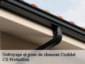 Nettoyage et pose de cheneau codolet-30200 CS Protection