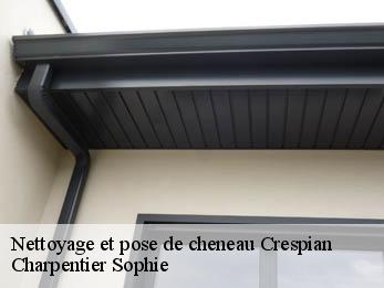 Nettoyage et pose de cheneau 30260