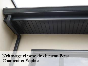 Nettoyage et pose de cheneau  30730