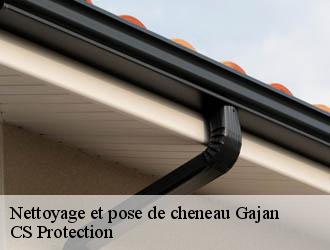 Nettoyage et pose de cheneau  gajan-30730 CS Protection
