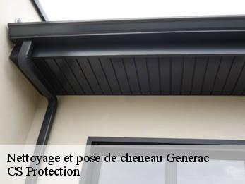 Nettoyage et pose de cheneau 30510