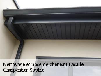 Nettoyage et pose de cheneau  30460