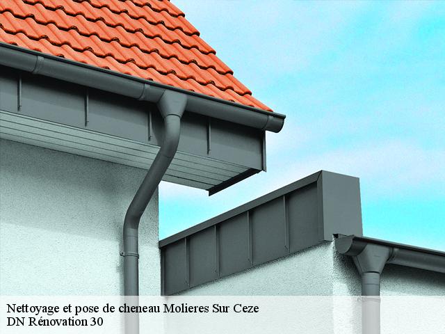 Nettoyage et pose de cheneau  molieres-sur-ceze-30410 DN Rénovation 30