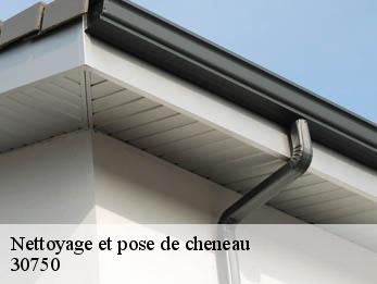 Nettoyage et pose de cheneau 30750