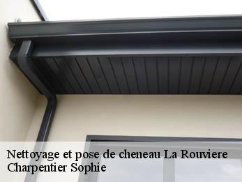 Nettoyage et pose de cheneau  30190