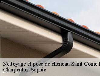 Nettoyage et pose de cheneau saint-come-et-maruejols-30870 Charpentier Sophie