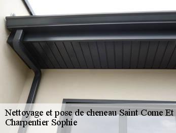 Nettoyage et pose de cheneau 30870