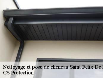 Nettoyage et pose de cheneau 30140