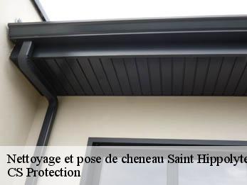 Nettoyage et pose de cheneau 30170