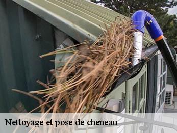 Nettoyage et pose de cheneau