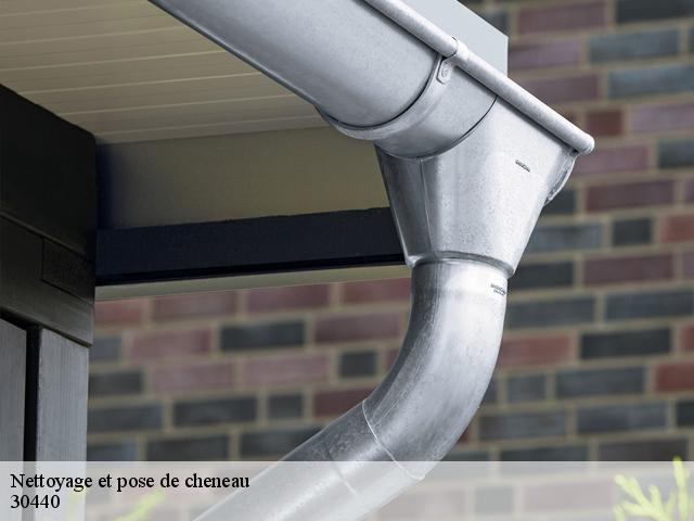 Nettoyage et pose de cheneau 30440