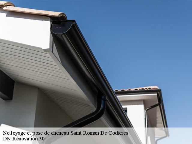 Nettoyage et pose de cheneau 30440