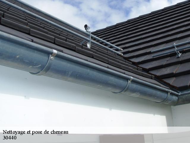 Nettoyage et pose de cheneau 30440