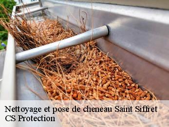 Nettoyage et pose de cheneau