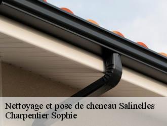 Nettoyage et pose de cheneau  salinelles-30250 Charpentier Sophie