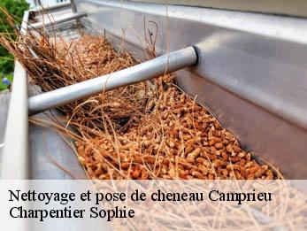 Nettoyage et pose de cheneau