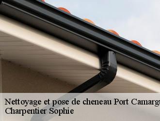 Nettoyage et pose de cheneau  port-camargue-30240 Charpentier Sophie