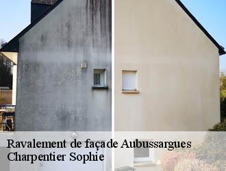 Ravalement de façade  aubussargues-30190 Charpentier Sophie