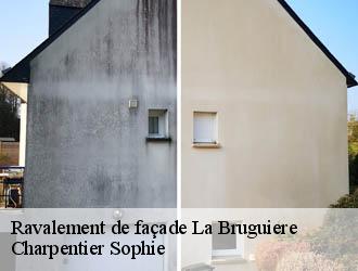 Ravalement de façade  la-bruguiere-30580 Charpentier Sophie