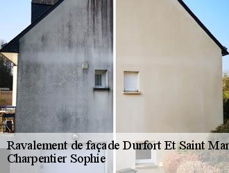 Ravalement de façade  durfort-et-saint-martin-30170 Charpentier Sophie