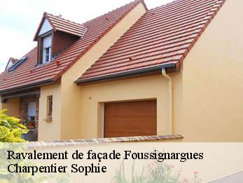 Ravalement de façade 30160