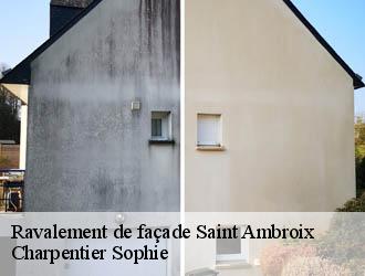 Ravalement de façade saint-ambroix-30500 Charpentier Sophie