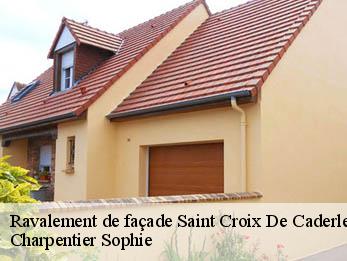 Ravalement de façade  30460