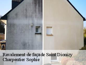 Ravalement de façade  saint-dionizy-30980 Charpentier Sophie