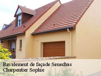 Ravalement de façade 30450