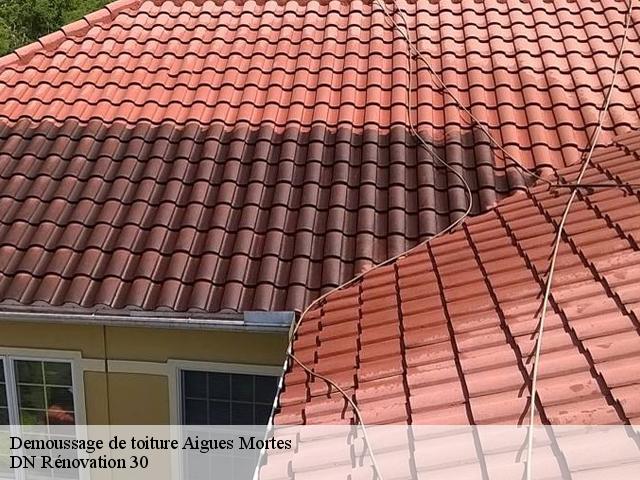 Demoussage de toiture  aigues-mortes-30220 DN Rénovation 30