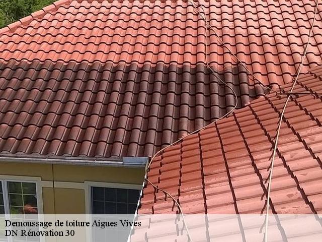 Demoussage de toiture  aigues-vives-30670 DN Rénovation 30