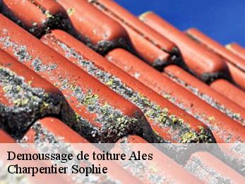 Demoussage de toiture