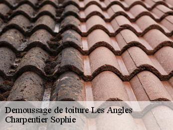 Demoussage de toiture  30133