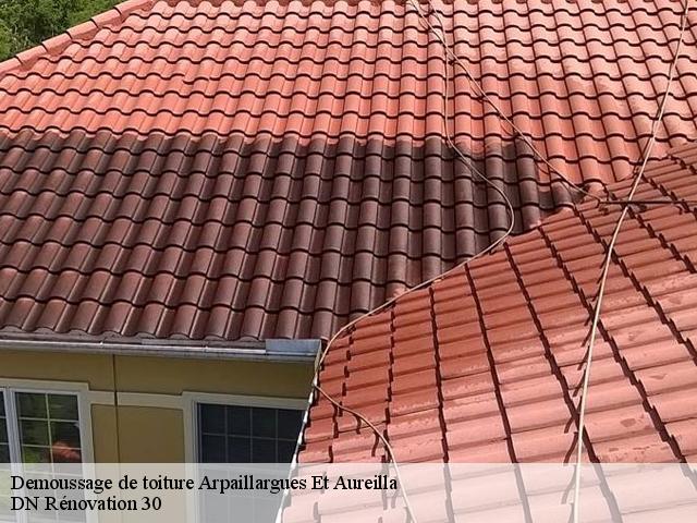 Demoussage de toiture  arpaillargues-et-aureilla-30700 DN Rénovation 30