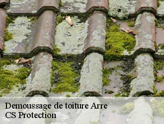 Demoussage de toiture  arre-30120 CS Protection