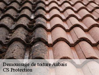 Demoussage de toiture  30250