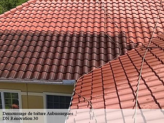 Demoussage de toiture  aubussargues-30190 DN Rénovation 30