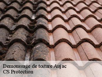 Demoussage de toiture 30450