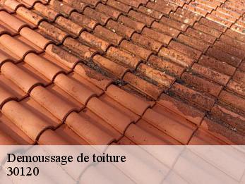 Demoussage de toiture 30120