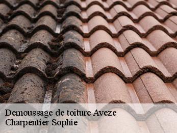 Demoussage de toiture 30120
