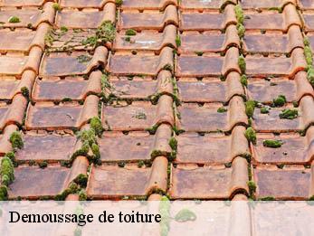 Demoussage de toiture 30120