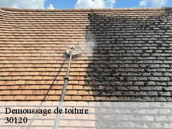 Demoussage de toiture 30120