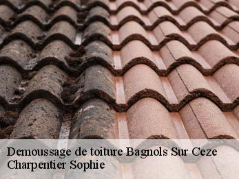 Demoussage de toiture  30200